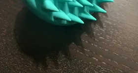 Galerie foto - poza 4