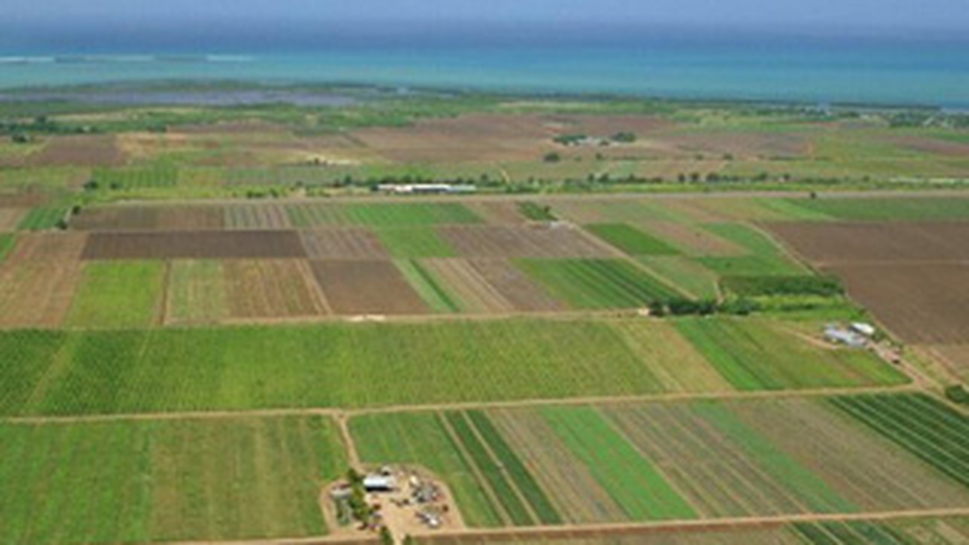 Creste-ti animalele eco si UE te finanteaza! Vezi ce sume colosale primesti daca le ingrijesti ca la carte!