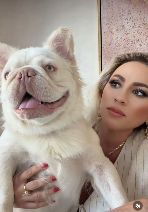 Rocsana Marcu și-a luat câine de 20.000 de mii de euro. Cum arată Brulee, puiuț din rasa Fluffy Frenchie