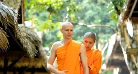 Galerie foto - poza 1