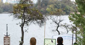 Galerie foto - poza 1