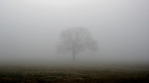 PROGNOZA METEO 14 DECEMBRIE: Temperaturile sunt în scădere