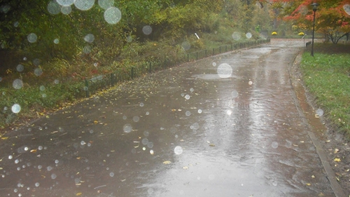 Prognoza meteo: Afla cum va fi vremea astazi