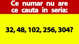 Test IQ exclusiv pentru genii | Ce număr nu are ce căuta în seria: 32, 48, 102, 256, 304?
