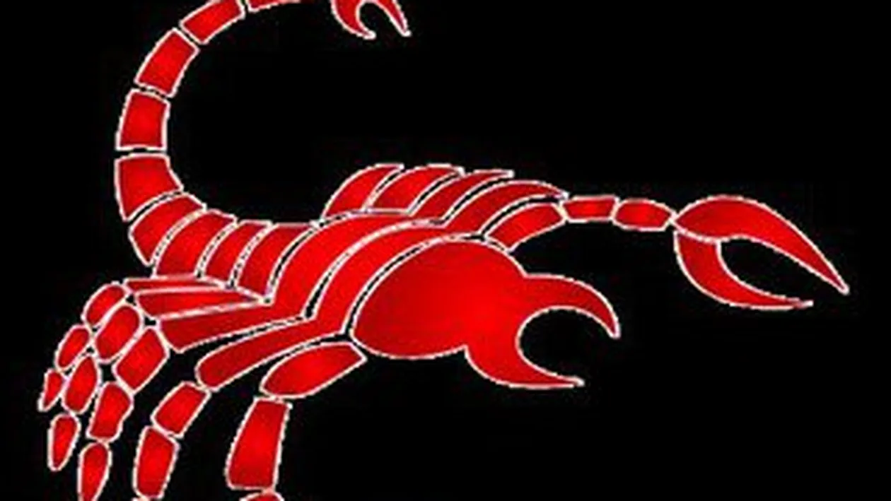 Scorpion 24.10-22.11