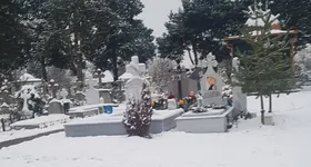 Galerie foto - poza 1