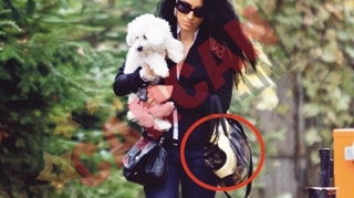 Adelina s-a chinuit sa-i care la veterinar