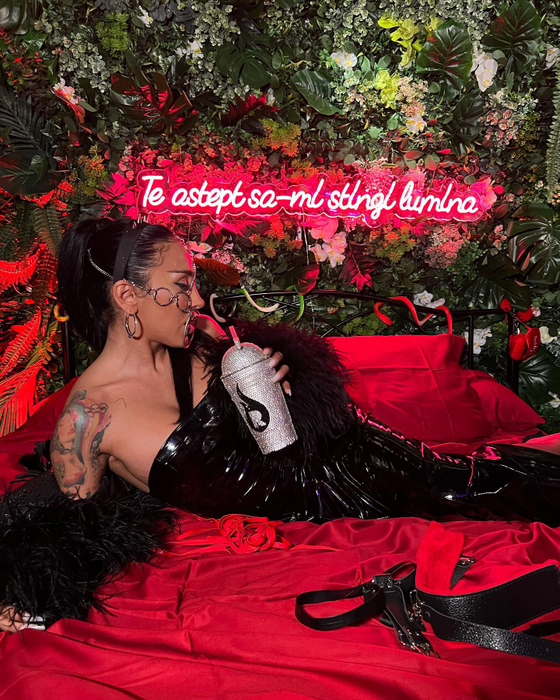 Ruby a lansat piesa "Viciu între vicii", în colaborare cu Alex Velea / (Foto: Instagram)