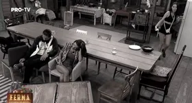 Galerie foto - poza 3