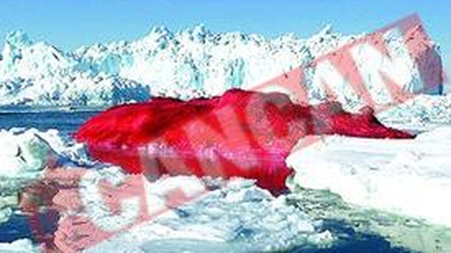 Vrea sa picteze Mont-Blanc in rosu