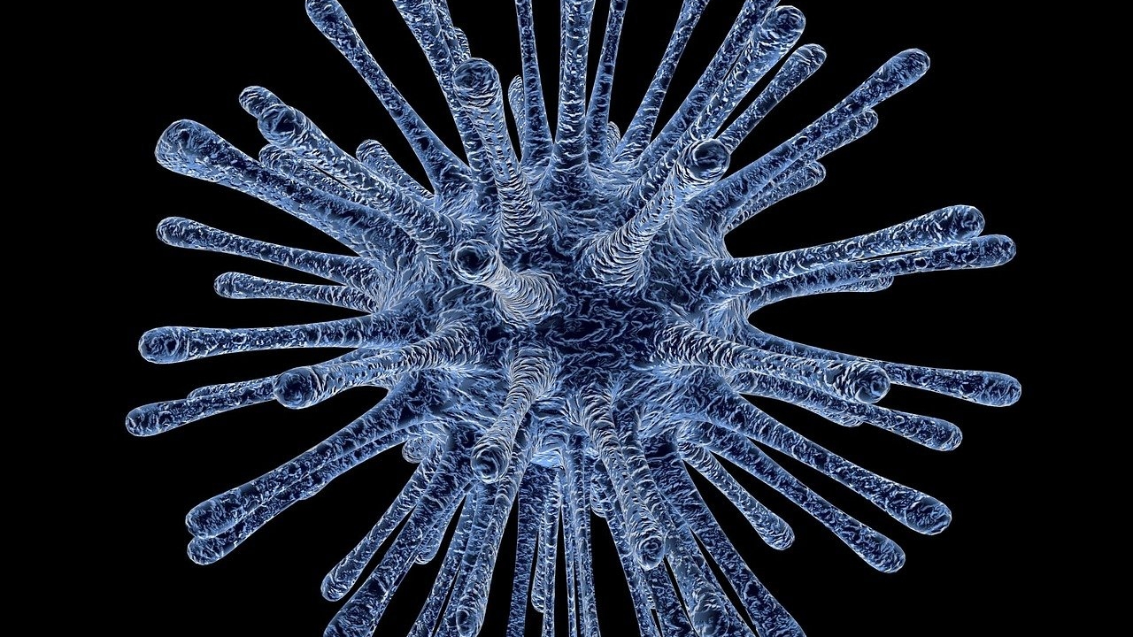 30 de români au murit, în ultimele 24 de ore, uciși de noul coronavirus. Numărul pacienților în stare gravă a ajuns la 550