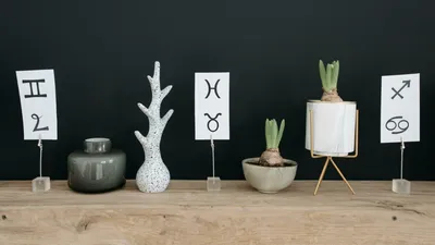 Horoscop primavăra 2026. Zodiile care au noroc la bani și dragoste