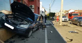 Galerie foto - poza 3