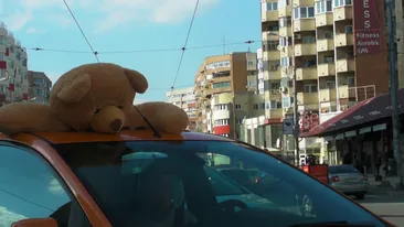 Noua moda de agatat in trafic! Plimbatul ursului de plus iesit prin trapa masinii! Fetele vor zice Ce baiat sensibil!