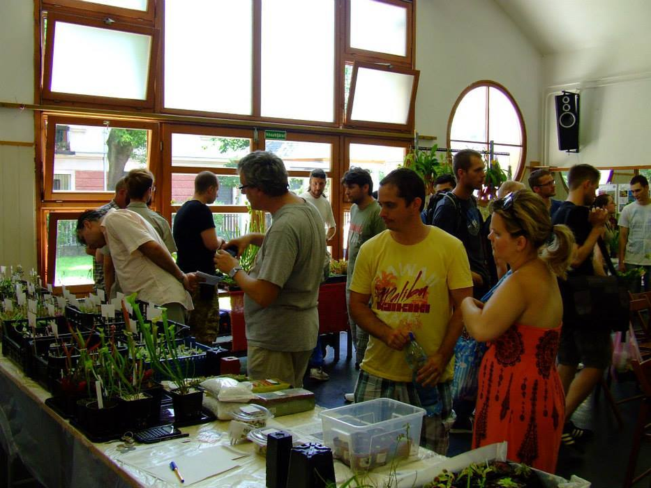 Adrian a primit o mână de ajutor din partea Societăţii Ungare de Plante Carnivore