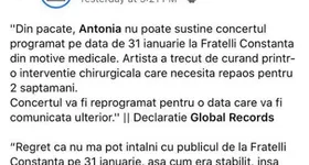 Galerie foto - poza 3