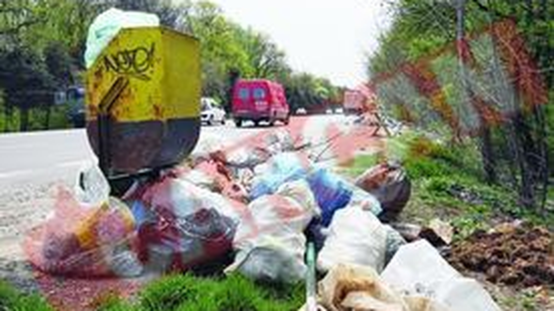 Munti de gunoaie pe DN1, la Ciolpani