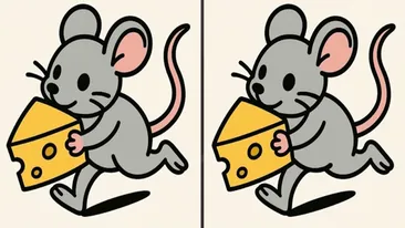 TEST IQ | Identificați toate cele 3 diferențe dintre acești doi șoareci!