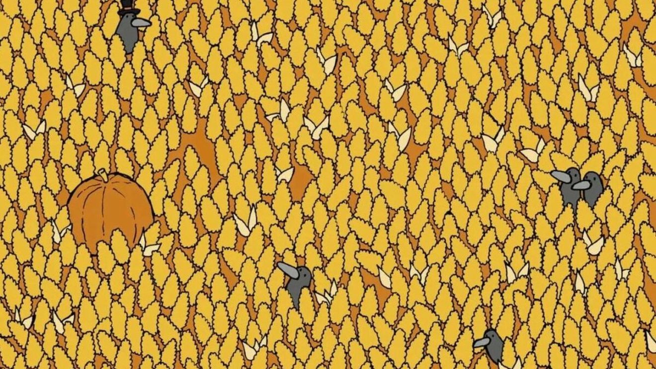 Test IQ | Numai cei cu ochi ageri văd unde se ascunde para, în doar 15 secunde!