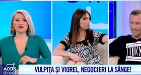 Galerie foto - poza 2