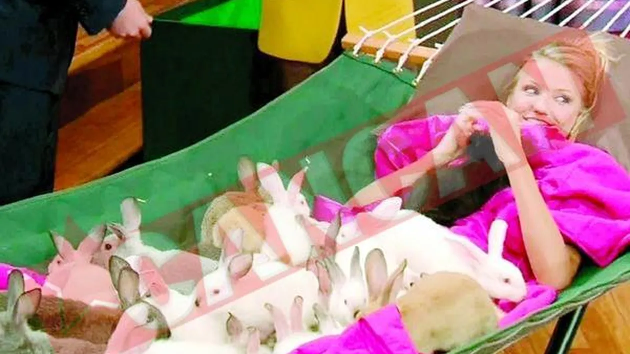 Calarita de 48 de iepuri