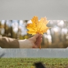 Prognoza meteo azi, 28 septembrie 2026. Toamna își arată colții în România! Unde scad temperaturile la 3 grade și ce regiuni mai prind 26 de grade