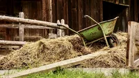 Bălegarul, la mare căutare în SUA. Cât a ajuns să coste o tonă