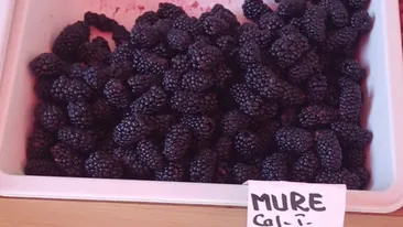 Mure, la preț de caviar! Cât costă 1 kilogram + reacția Asociației pentru Protecția Consumatorilor din România