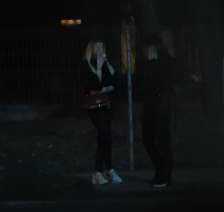 Prințesica celebrului multimilionar, discuții nocturne în Herăstrău cu ”omul de casă” al tăticului!