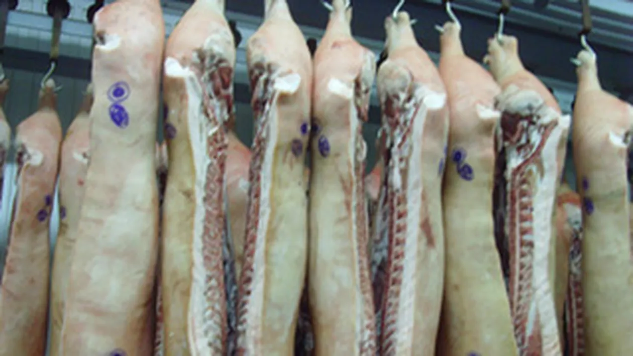 Un TIR plin cu porci a derapat si a intrat in cladirea muzeului din Calugareni