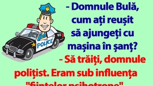 BANC | "Domnule Bulă, cum ați reușit să ajungeți cu mașina în șanț?"