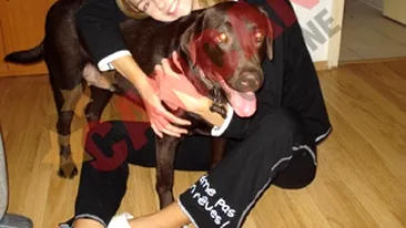 Madalina Draghici vrea un catel care sa-i fie prieten pe viata