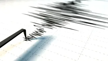 Cutremur de 3,7 grade in Vrancea! Seismul a avut loc joi, la ora 19:04