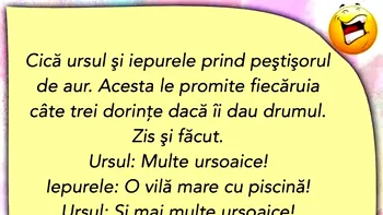 BANCUL ZILEI | Ursul și iepurele prind peștișorul de aur