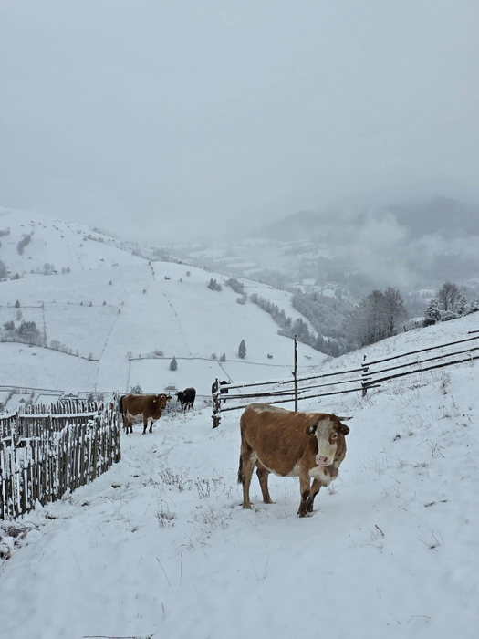 Sursa foto: Meteoplus