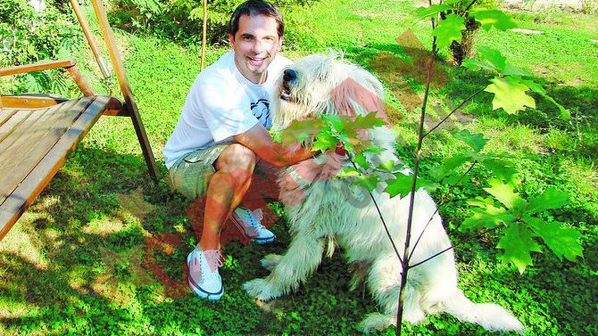Hartuit de asociatiile de protectia animalelor