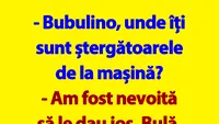 BANC | Bulă și ștergătoarele de la mașina Bubulinei