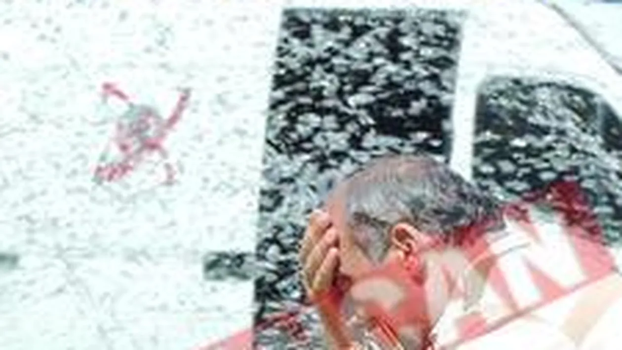 Videanu-rasfat de 5 stele pe Coasta de Azur