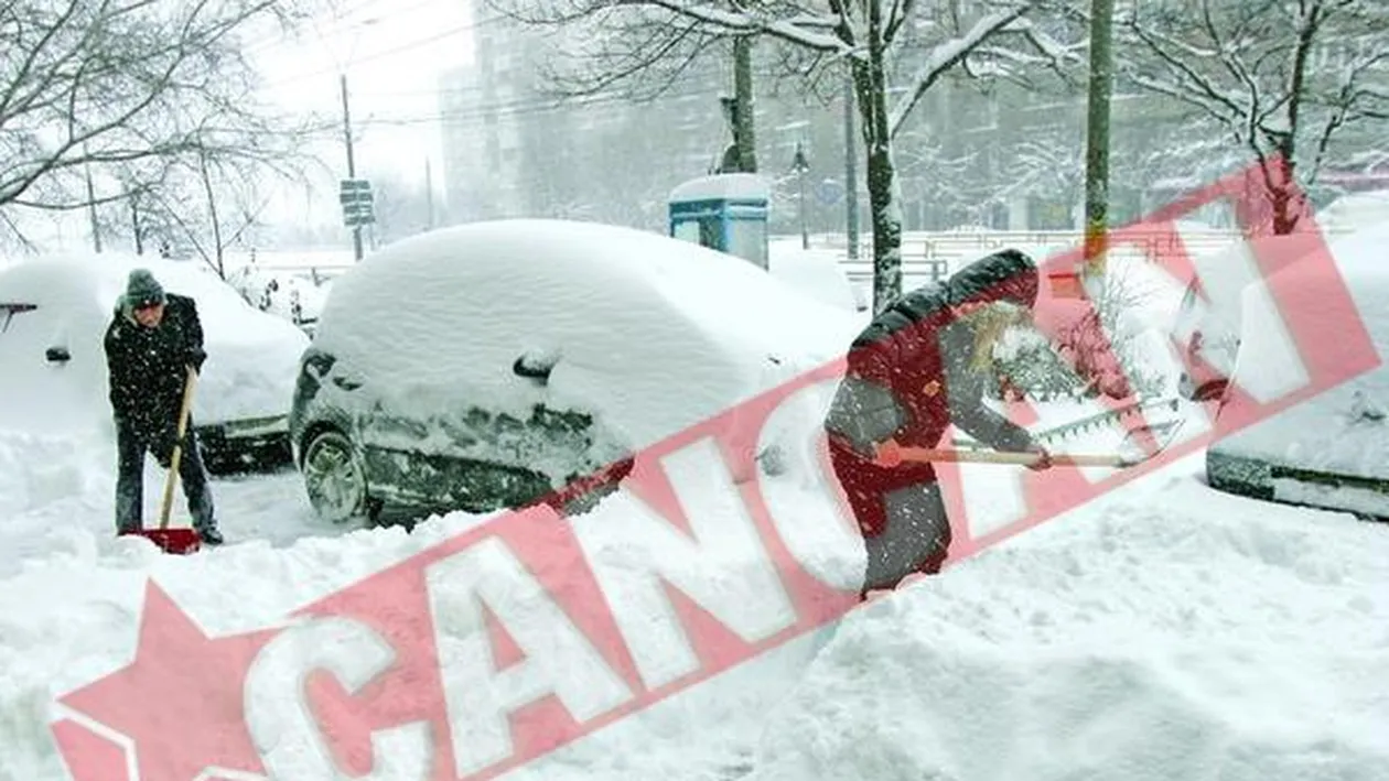 Vreme de primavara in ianuarie