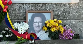 Galerie foto - poza 2