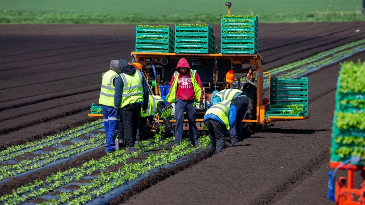 Ce lovitură pentru englezi, chiar la ei acasă! Trebuie să vorbească limba română dacă vor să…