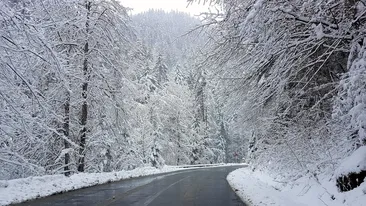 Schimbări neașteptate ale vremii! Meteorologii au anunțat cât va arăta mercurul în termometre zilele următoare