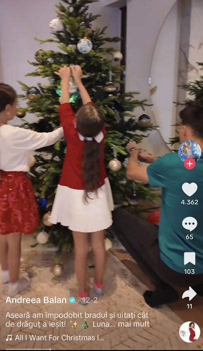 Bradul Andreei Bălan/foto: captură TikTok
