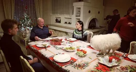 Galerie foto - poza 3