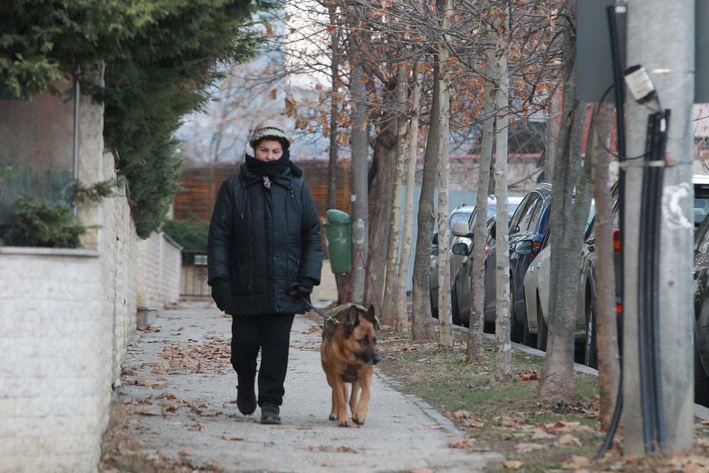 Irina Loghin, la plimbare cu cățelul ei