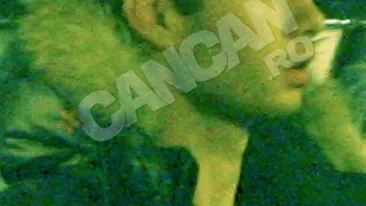 Cardutii Mazare, Videanu, Sota si Turcu au spart bani si sampanii la munte! Vezi cum s-au distrat baietii de bani gata