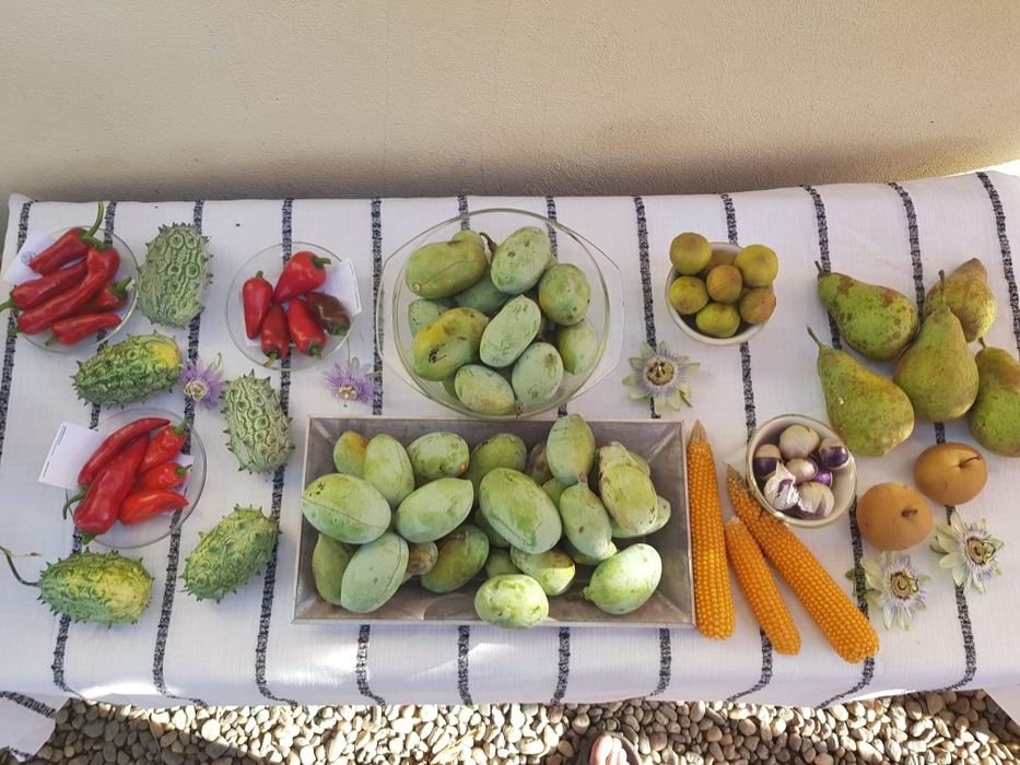 O mică parte din recoltă