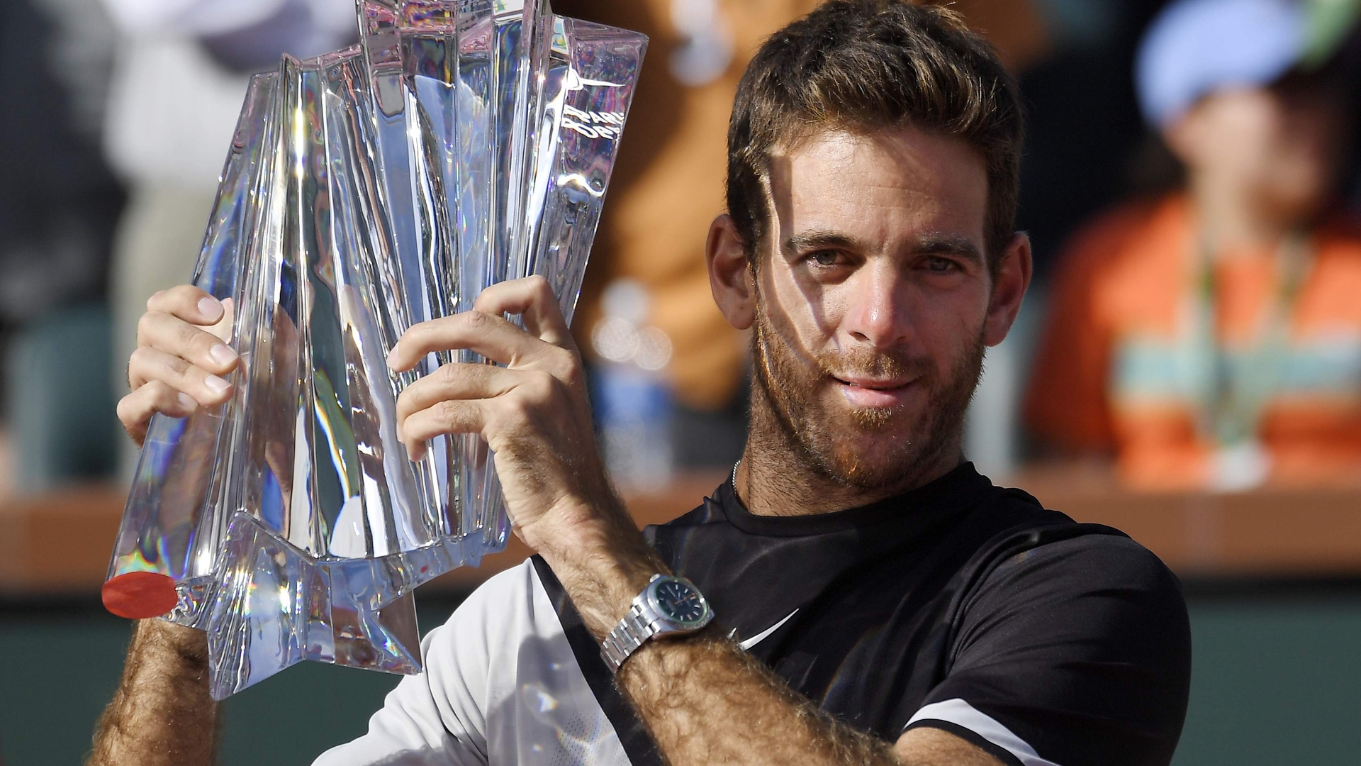 Federer și-a găsit nașul! Elvețianul, învins în finala de la Indian Wells de Juan Martin del Potro!