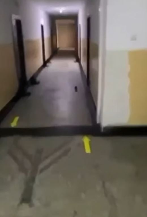Un șobolan se plimbă pe un hol al căminului de la Academia de Poliție. Sursă: captură video Facebook Sindicatul Europol