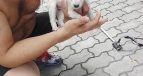 Galerie foto - poza 4